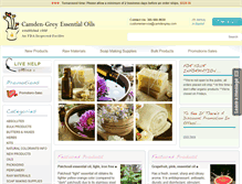 Tablet Screenshot of camdengrey.com
